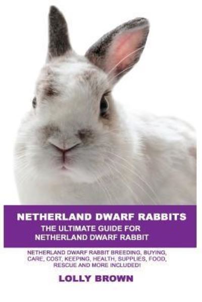 Cover for Lolly Brown · Netherland Dwarf Rabbits (Paperback Book) (2017)