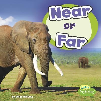 Near or Far - Wiley Blevins - Books - Capstone - 9781977103147 - 2019