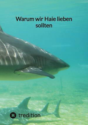 Cover for Moritz · Warum wir Haie lieben sollten (Book) (2023)
