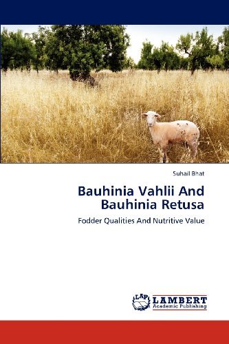 Cover for Suhail Bhat · Bauhinia Vahlii and Bauhinia Retusa: Fodder Qualities and Nutritive Value (Paperback Book) (2012)
