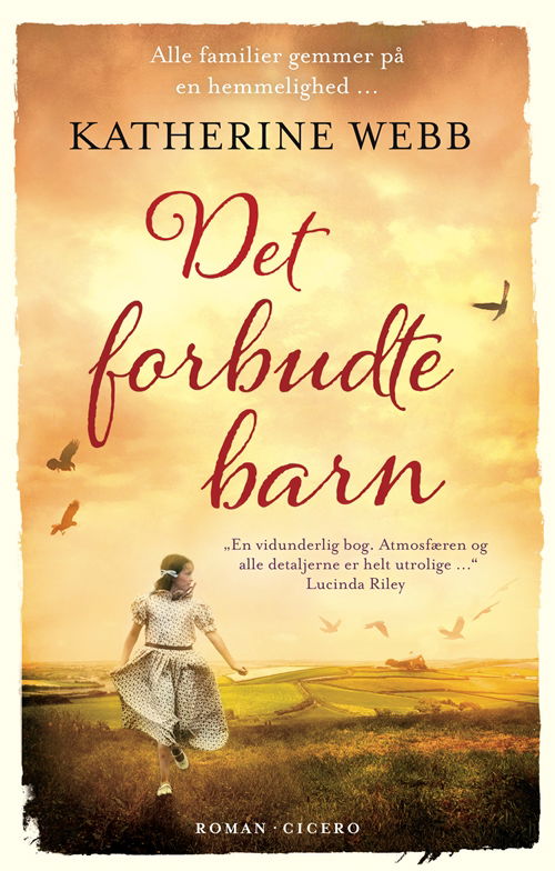 Cover for Katherine Webb · Det forbudte barn (Paperback Book) [2. Painos] (2018)