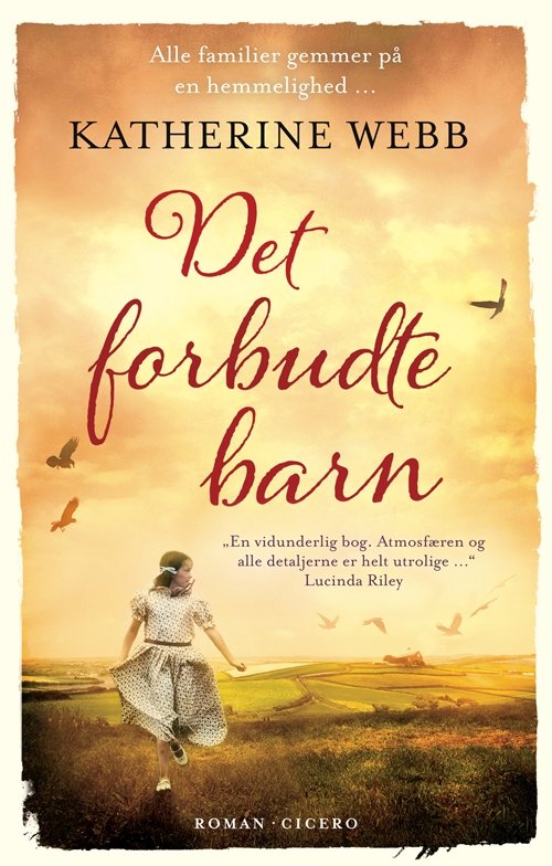 Cover for Katherine Webb · Det forbudte barn (Paperback Book) [2nd edition] (2018)