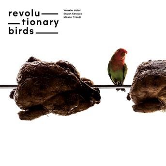 Revolutionary Birds - Revolutionary Birds - Music - BUDA MUSIQUE - 3341348603148 - January 19, 2018