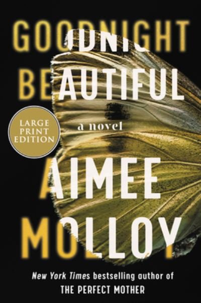 Cover for Aimee Molloy · Goodnight Beautiful A Novel (Bog) (2020)