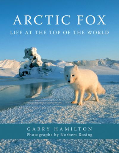 Cover for Garry Hamilton · Arctic Fox: Life at the Top of the World (Pocketbok) (2023)