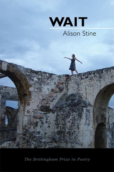 Cover for Alison Stine · Wait (Paperback Book) (2011)