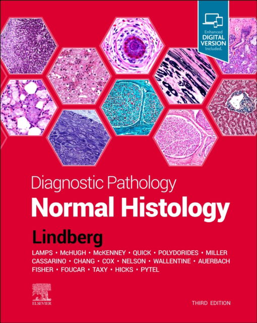 Cover for Lindberg, Matthew R. (Director, Soft Tissue Pathology Division, Associate Professor of Pathology, University of Arkansas for Medical Sciences, Little Rock, Arkansas) · Diagnostic Pathology: Normal Histology - Diagnostic Pathology (Gebundenes Buch) (2022)