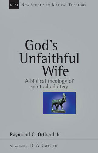 Cover for Raymond C. Ortlund Jr. · God's Unfaithful Wife: a Biblical Theology of Spiritual Adultery (New Studies in Biblical Theology) (Paperback Book) (2003)