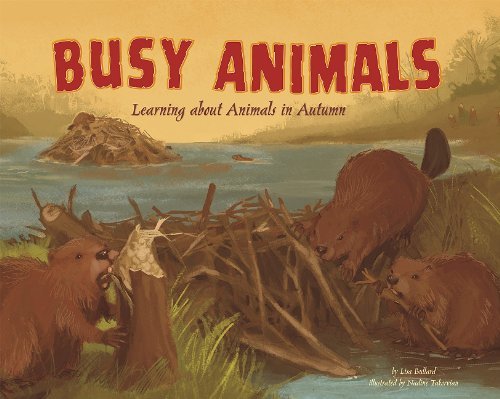 Cover for Lisa Bullard · Busy Animals: Learning About Animals in Autumn (Hardcover Book) (2010)