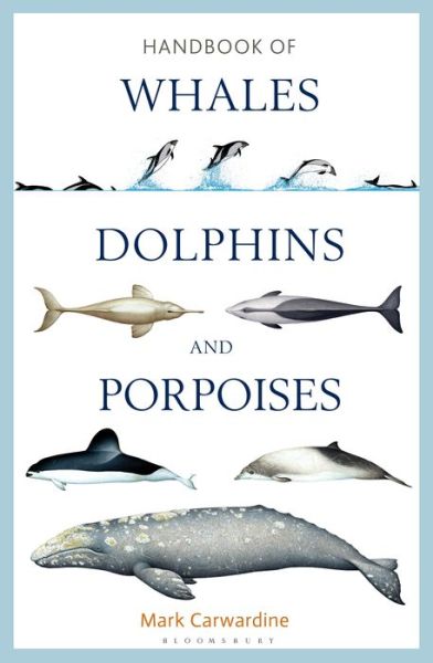 Cover for Mark Carwardine · Handbook of Whales, Dolphins and Porpoises (Hardcover Book) (2019)