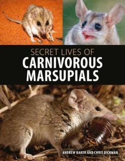 Cover for Andrew Baker · Secret Lives of Carnivorous Marsupials (Hardcover Book) (2018)