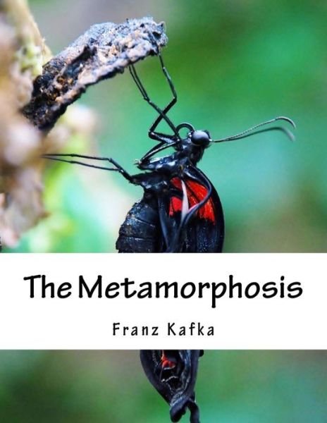 Cover for Franz Kafka · The Metamorphosis (Pocketbok) (2015)