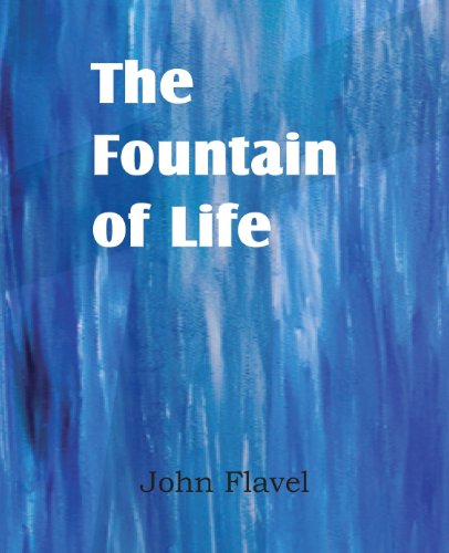 Cover for John Flavel · The Fountain of Life (Paperback Book) (2013)