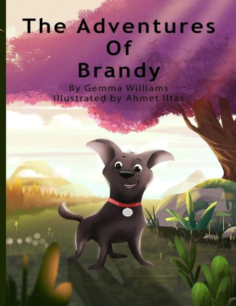 Cover for Gemma Williams · The Adventures of Brandy (Paperback Book) (2018)