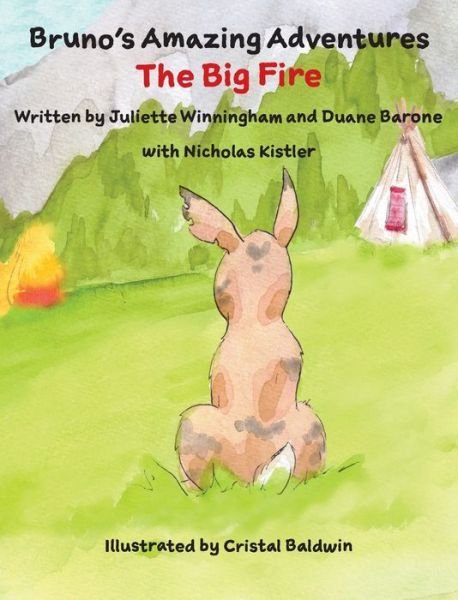 Cover for Juliette Winningham · The Big Fire - Bruno's Amazing Adventures (Hardcover bog) (2020)