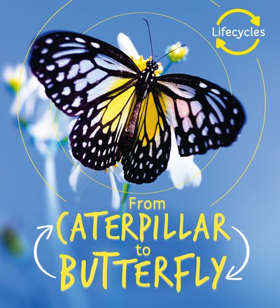 Cover for Camilla De La Bedoyere · Lifecycles: Caterpillar to Butterfly - LifeCycles (Paperback Bog) (2019)