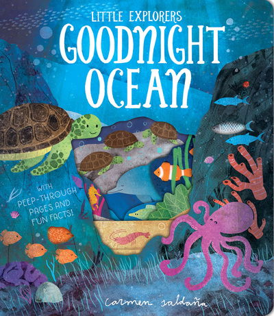 Goodnight Ocean - Little Explorers - Becky Davies - Książki - Little Tiger Press Group - 9781912756148 - 3 października 2019