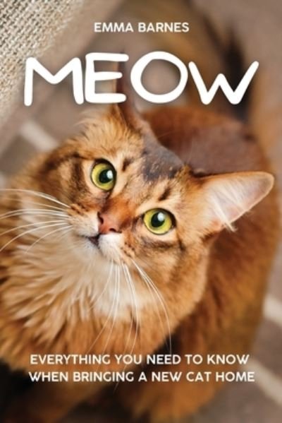 Cover for Emma Barnes · Meow (Pocketbok) (2021)
