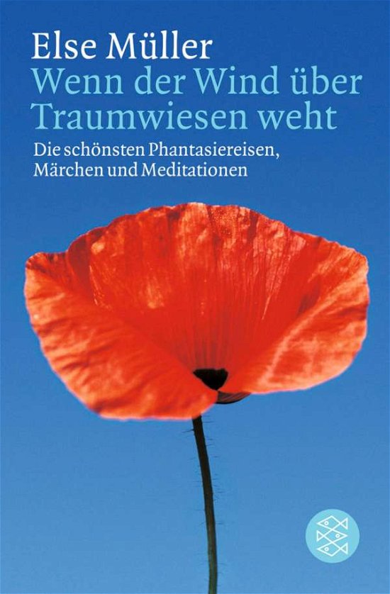 Cover for Else MÃ¼ller · Fischer TB.15214 Müller.Wenn der Wind (Buch)