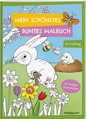 Cover for Carmen Eisendle · Mein schönstes buntes Malbuch. Im Frühling (Book) (2025)