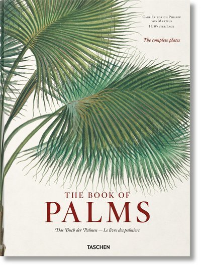 Cover for H. Walter Lack · Martius. The Book of Palms (Hardcover Book) [Multilingual edition] (2017)