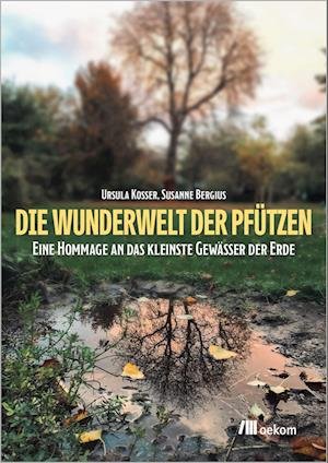 Cover for Ursula Kosser · Die Wunderwelt der Pfützen (Buch) (2023)