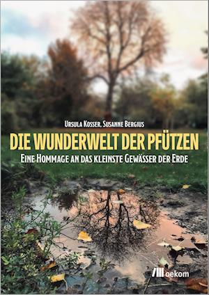 Die Wunderwelt der Pfützen - Ursula Kosser - Books - oekom verlag - 9783987260148 - January 12, 2023