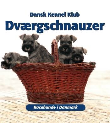 Racehunde i Danmark: Dværgschnauzer - Dansk Kennel Klub - Books - Atelier - 9788778573148 - December 8, 2000