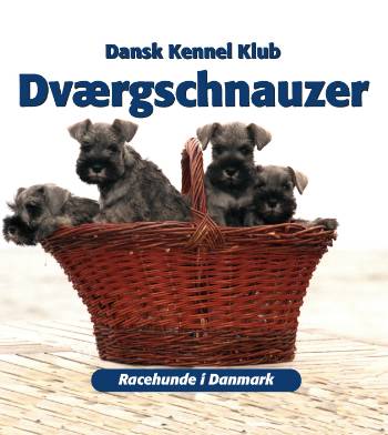 Racehunde i Danmark: Dværgschnauzer - Dansk Kennel Klub - Bøger - Atelier - 9788778573148 - 8. december 2000