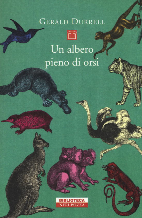 Cover for Gerald Durrell · Un Albero Pieno Di Orsi (Buch)