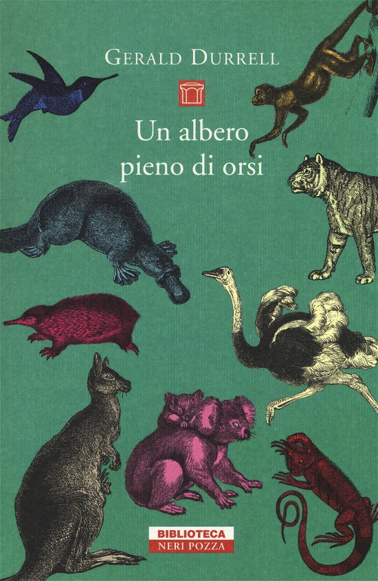 Cover for Gerald Durrell · Un Albero Pieno Di Orsi (Bog)