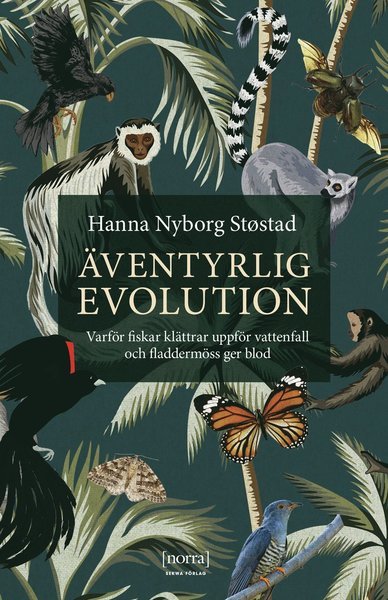 Cover for Hanna Nyborg Støstad · Äventyrlig evolution : varför fiskar klättrar uppför vattenfall och fladdermöss ger blod (Inbunden Bok) (2020)
