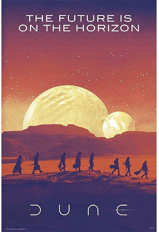 DUNE - Poster «The Future is on the horizon» (91.5 - Großes Poster - Merchandise -  - 3665361053149 - February 7, 2019