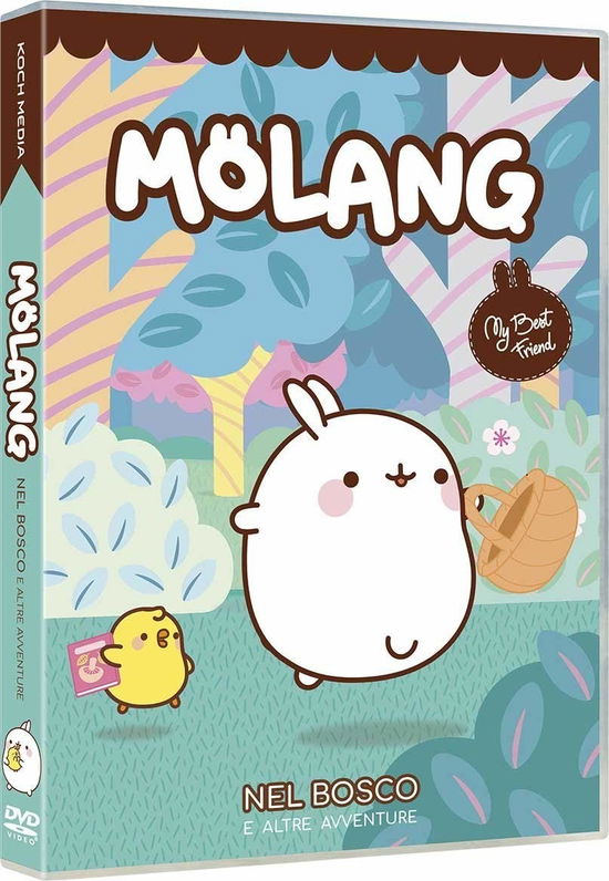 Cover for Animazione · Molang - Molang nel bosco (DVD)