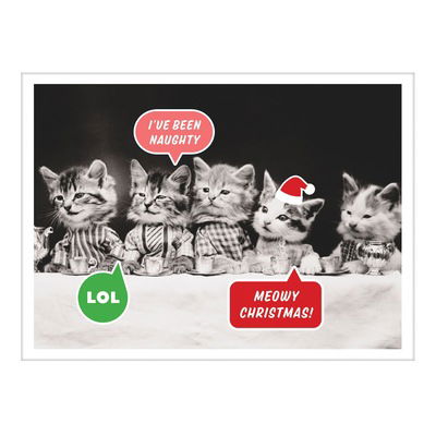 Vintage Cat Memes Notecards - Galison - Książki - Galison - 9780735355149 - 11 września 2018