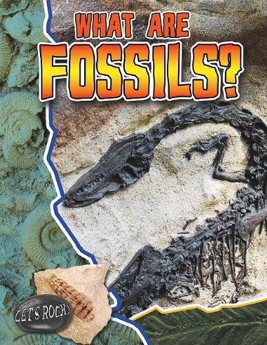 Cover for Natalie Hyde · What Are Fossils? (Let's Rock!) (Hardcover Book) (2012)