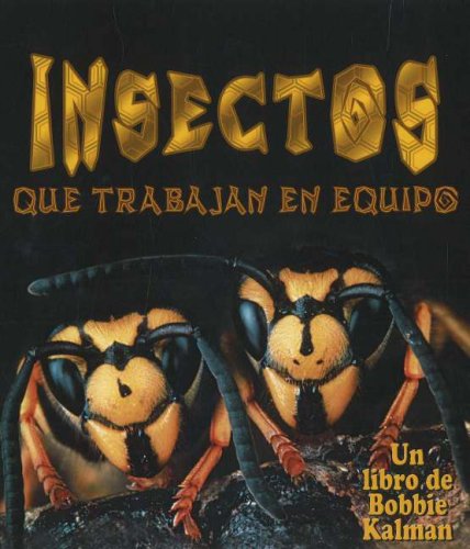 Cover for Molly Aloian · Insectos Que Trabajan en Equipo / Insects That Work Together (El Mundo De Los Insectos / the World of Insects) (Spanish Edition) (Paperback Book) [Spanish, 1 Tra edition] (2006)