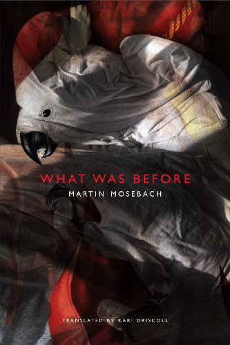 Cover for Martin Mosebach · What was Before (Hardcover Book) (2014)