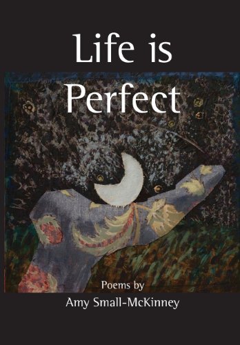 Cover for Amy Small-mckinney · Life is Perfect (Paperback Book) (2013)