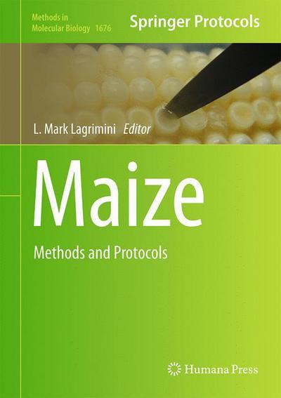 Maize: Methods and Protocols - Methods in Molecular Biology - - Books - Humana Press Inc. - 9781493973149 - October 7, 2017
