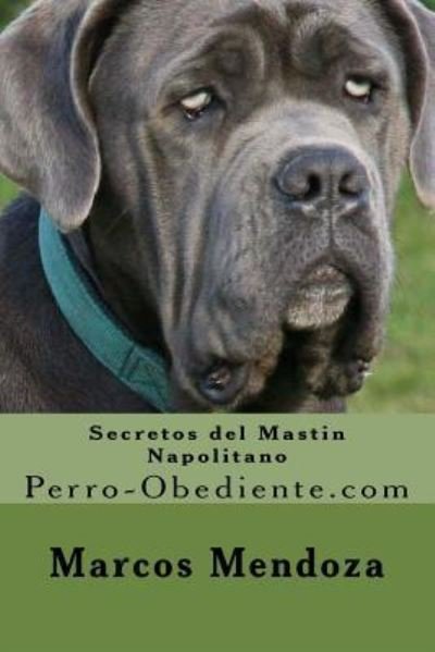 Cover for Marcos Mendoza · Secretos del Mastin Napolitano (Pocketbok) (2016)