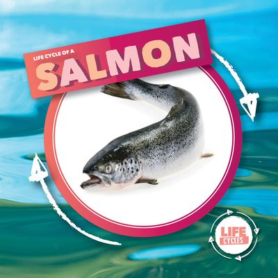 Cover for Kirsty Holmes · Life Cycle of Salmon (N/A) (2021)