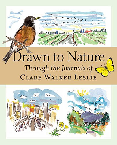 Drawn to Nature: Through the Journals of Clare Walker Leslie - Clare Walker Leslie - Books - Workman Publishing - 9781580176149 - September 1, 2005