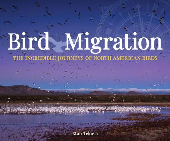 Bird Migration: The Incredible Journeys of North American Birds - Wildlife Appreciation - Stan Tekiela - Books - Adventure Publications, Incorporated - 9781591938149 - December 20, 2018