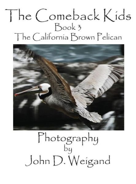 The Comeback Kids, Book 3, the California Brown Pelican (Picture Book) - Penelope Dyan - Bøker - Bellissima Publishing - 9781614772149 - 28. juni 2015