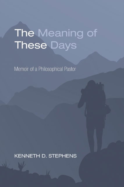 Cover for Kenneth Daniel Stephens · Meaning of These Days (Book) (2013)