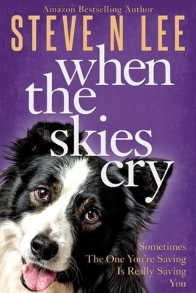 Cover for Steve N Lee · When The Skies Cry (Taschenbuch) (2021)