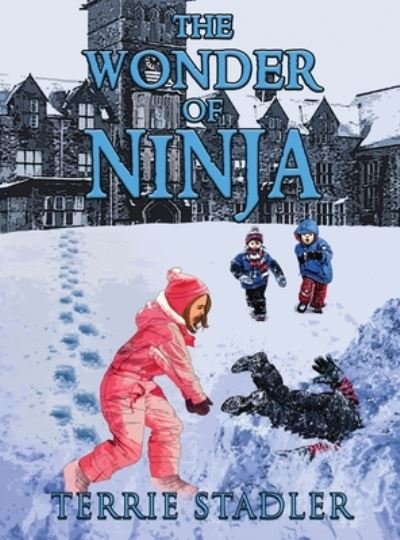 Cover for Terrie Stadler · Wonder of Ninja (Bok) (2023)