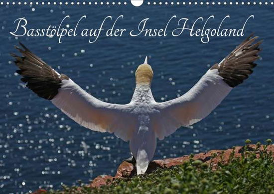 Cover for Konieczka · Basstölpel auf der Insel Helg (Book)