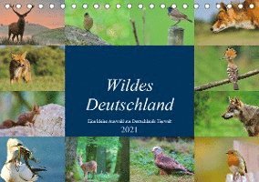 Wildes Deutschland (Tischkalende - Freund - Books -  - 9783672400149 - 